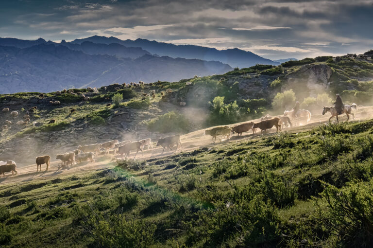 Life and People in Altai, Xinjiang - DSC_5483 1